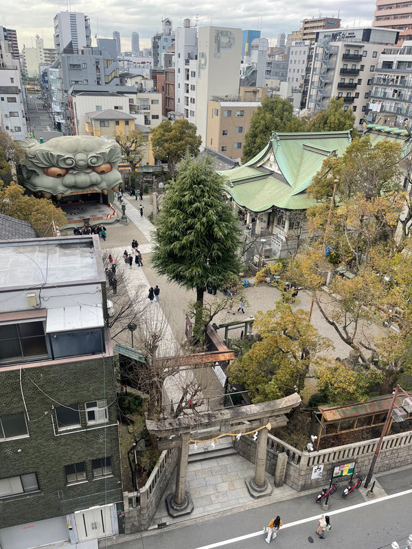 Osaka & Nara — Travel Guide