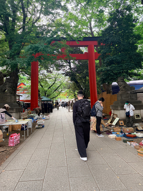 9 Days in Tokyo — Travel Guide