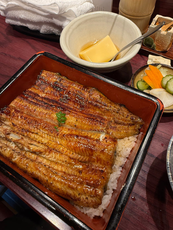 9 Days in Tokyo — Travel Guide