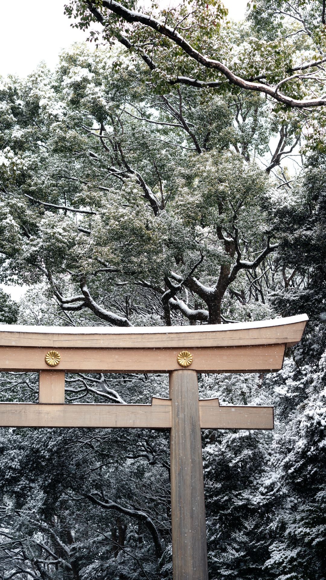 9 Days in Tokyo — Travel Guide